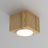 DOWNLIGHT wood 9732 Luminex