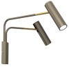 AXION titanium gold 266 Luminex