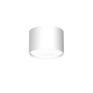 DOWNLIGHT LED white 1365 Luminex