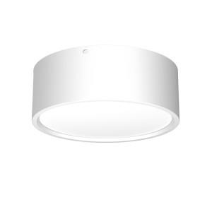 DOWNLIGHT LED white 1368 Luminex