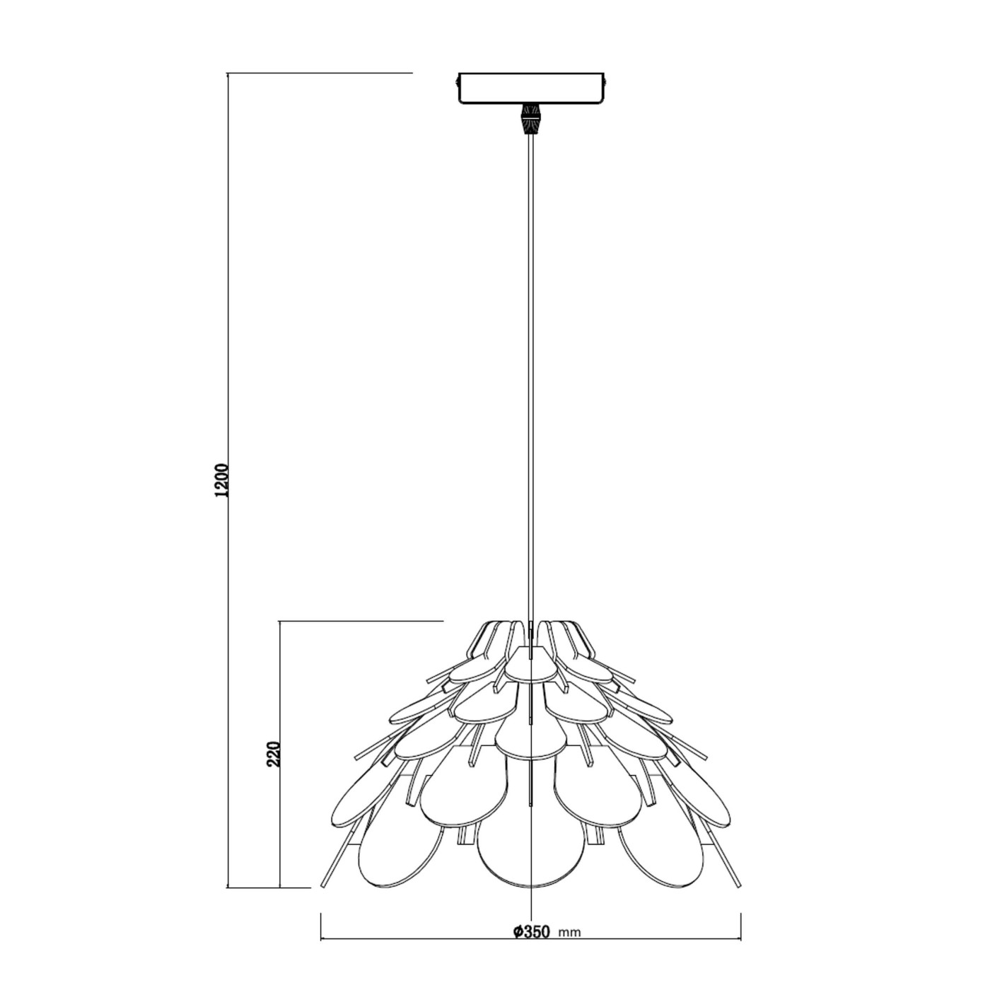 BURGO S LP-101335/1P S Light Prestige