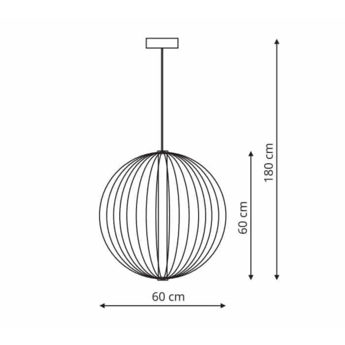 TREVISO gold CCT LP-798/1P L GD Light Prestige